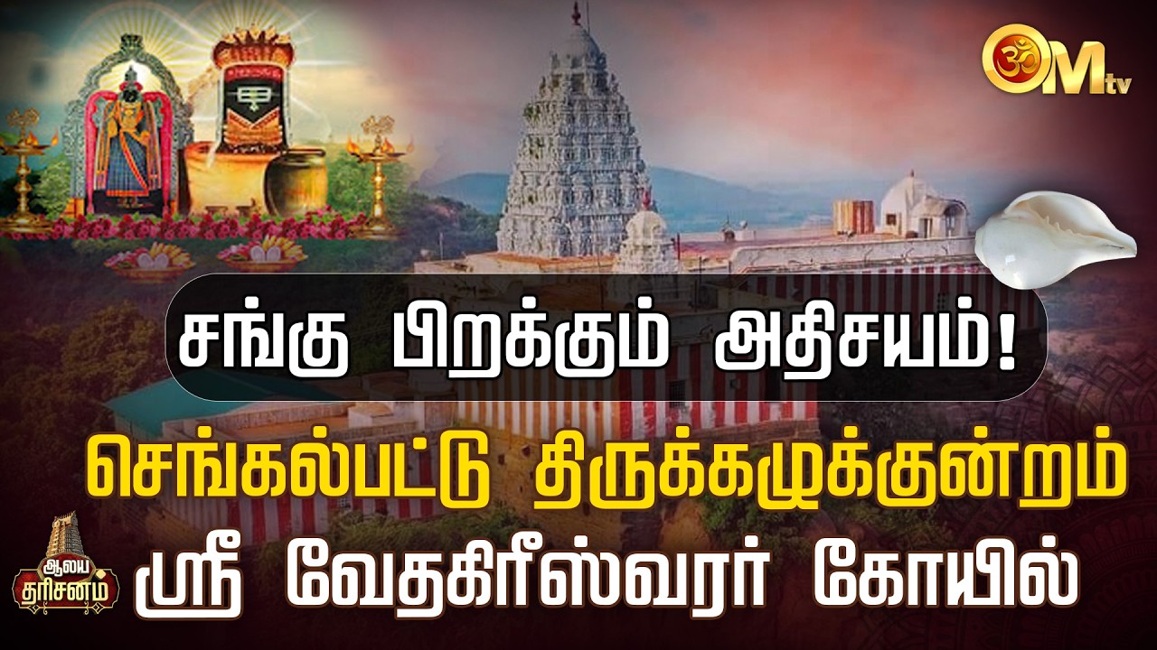 செங்கல்பட்டு திருக்கழுக்குன்றம் ஸ்ரீ வேதகிரீஸ்வரர் கோயில் | Aalaya Dharisanam | Chengalpattu | OM TV