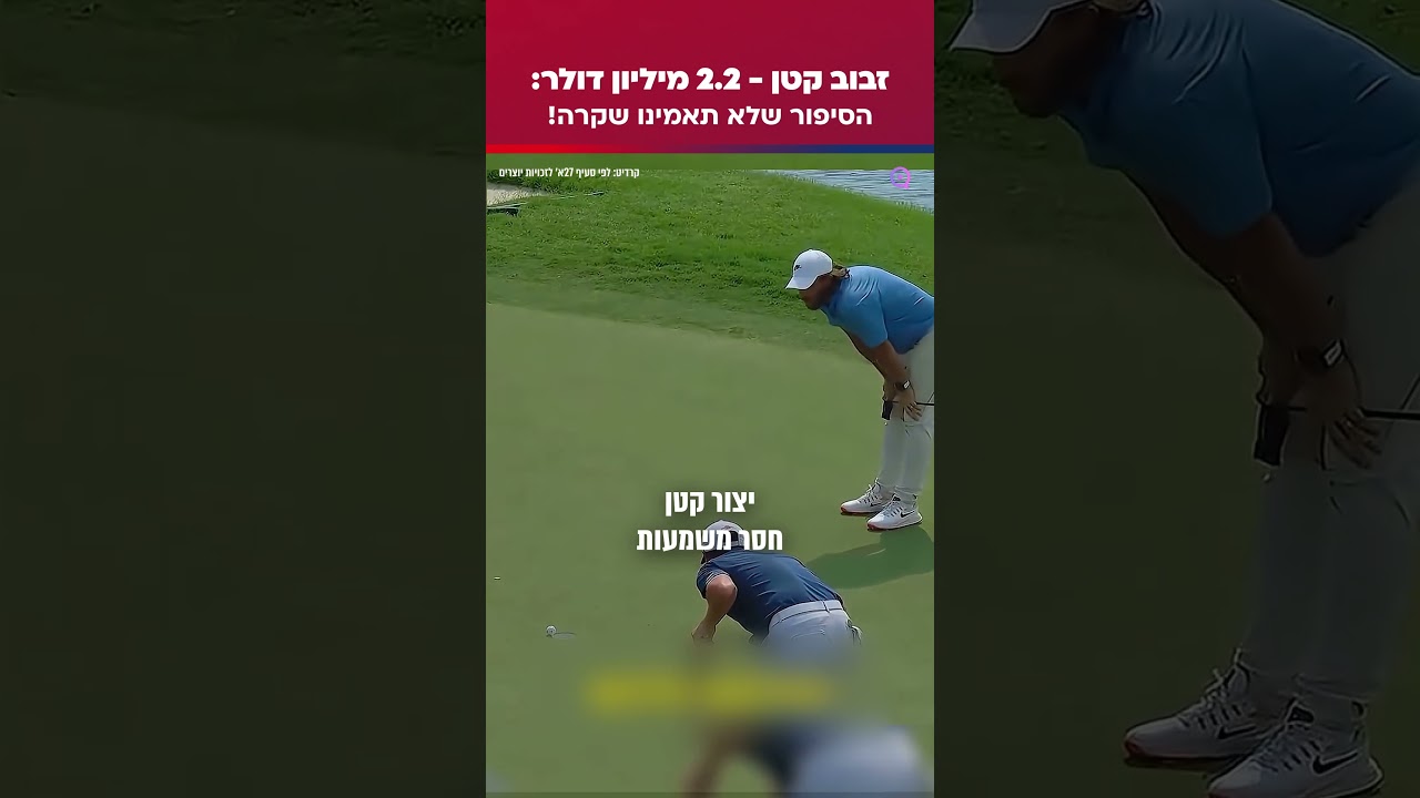 זבוב קטן - 2.2 מיליון דולר: הסיפור שלא תאמינו שקרה!