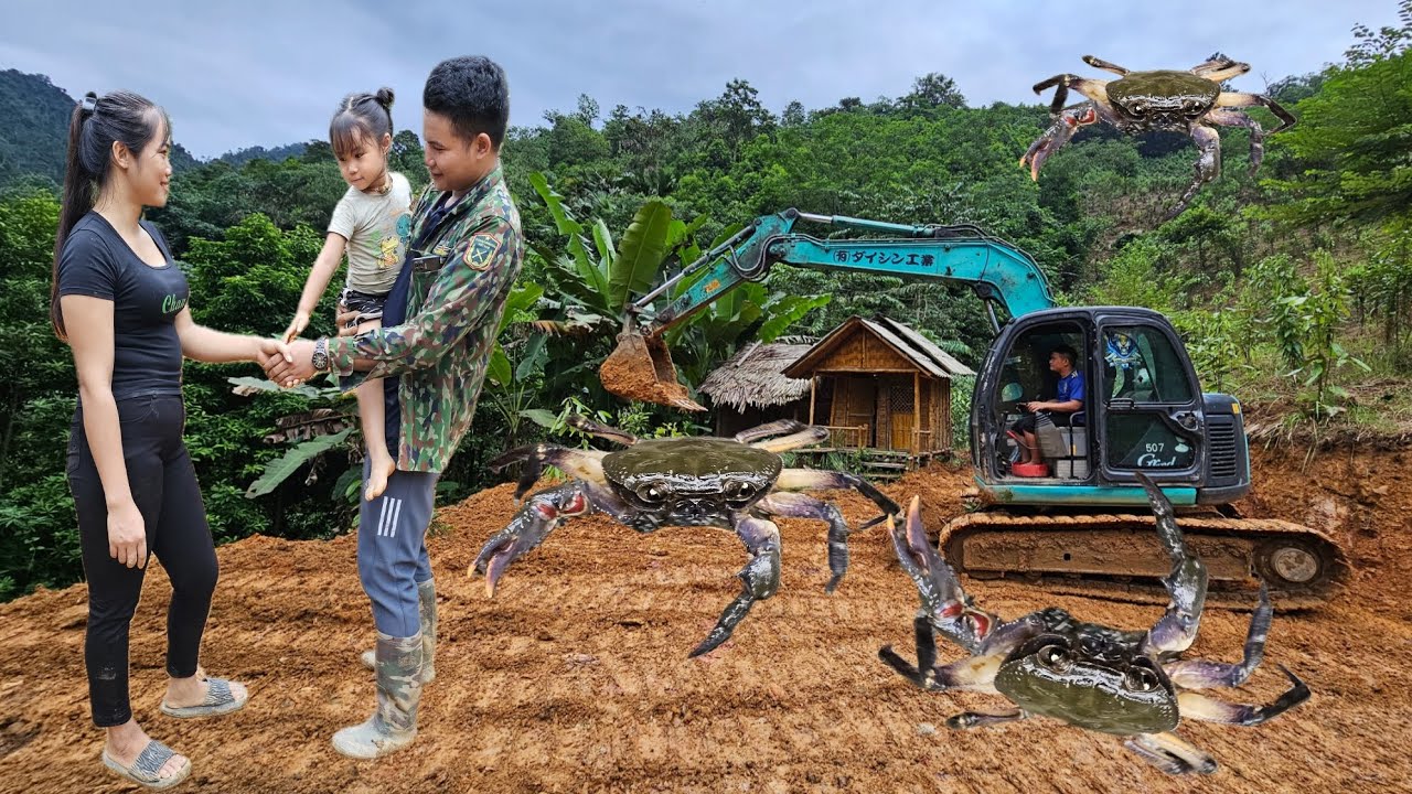 excavator and trucks transport Sand stream,excavator leveling as a foundation on the high mountains