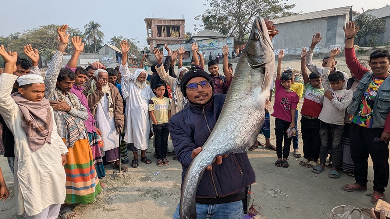 ২২ হাজার টাকায় বিক্রি হলো পদ্মার মনস্টার সাইজের বোয়াল মাছ | Village fishmarket in dhaka dohar