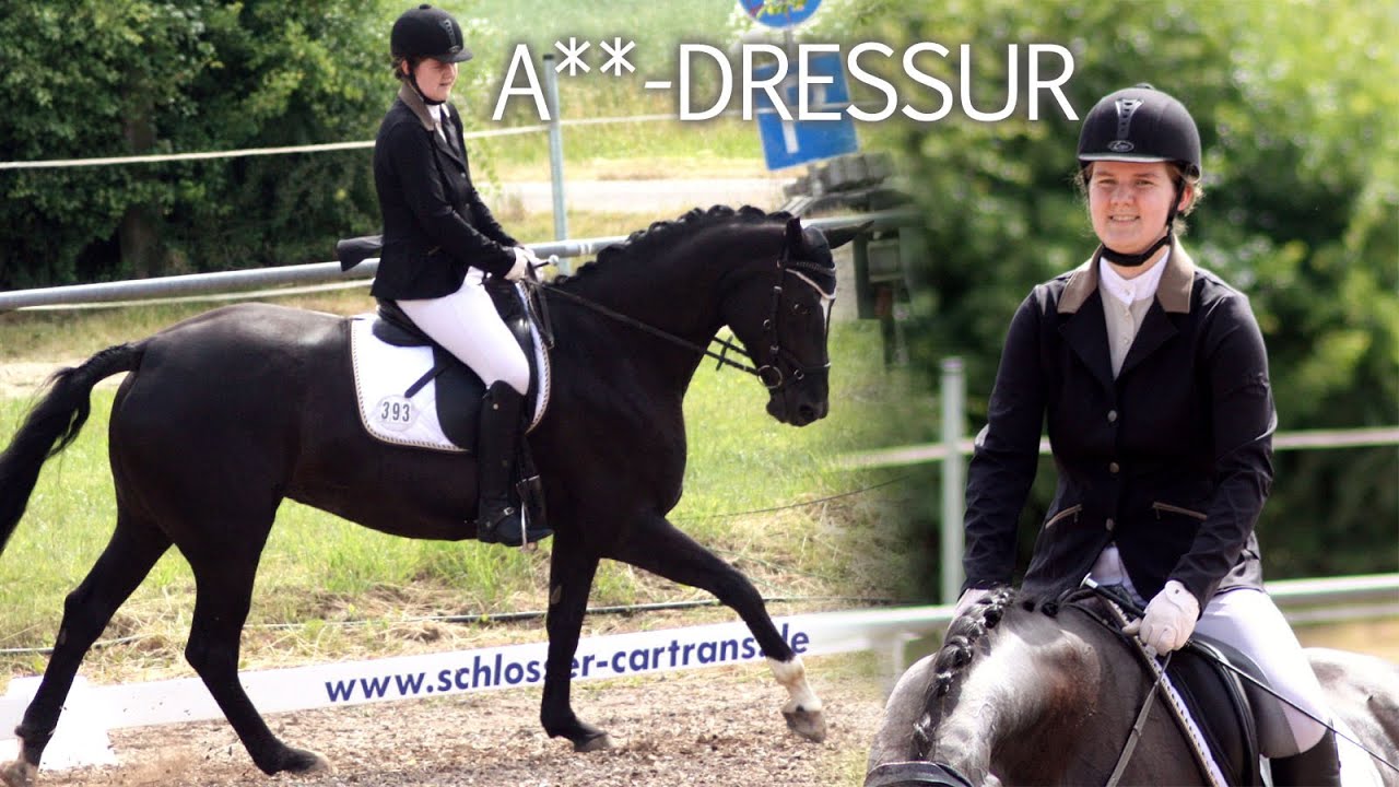 A**-Dressur in Mücke