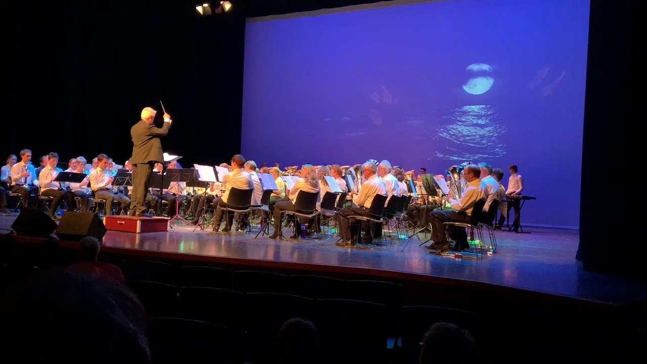 Sound of Silence 12 jan 2019 (Harmonie Eendracht Dronten)
