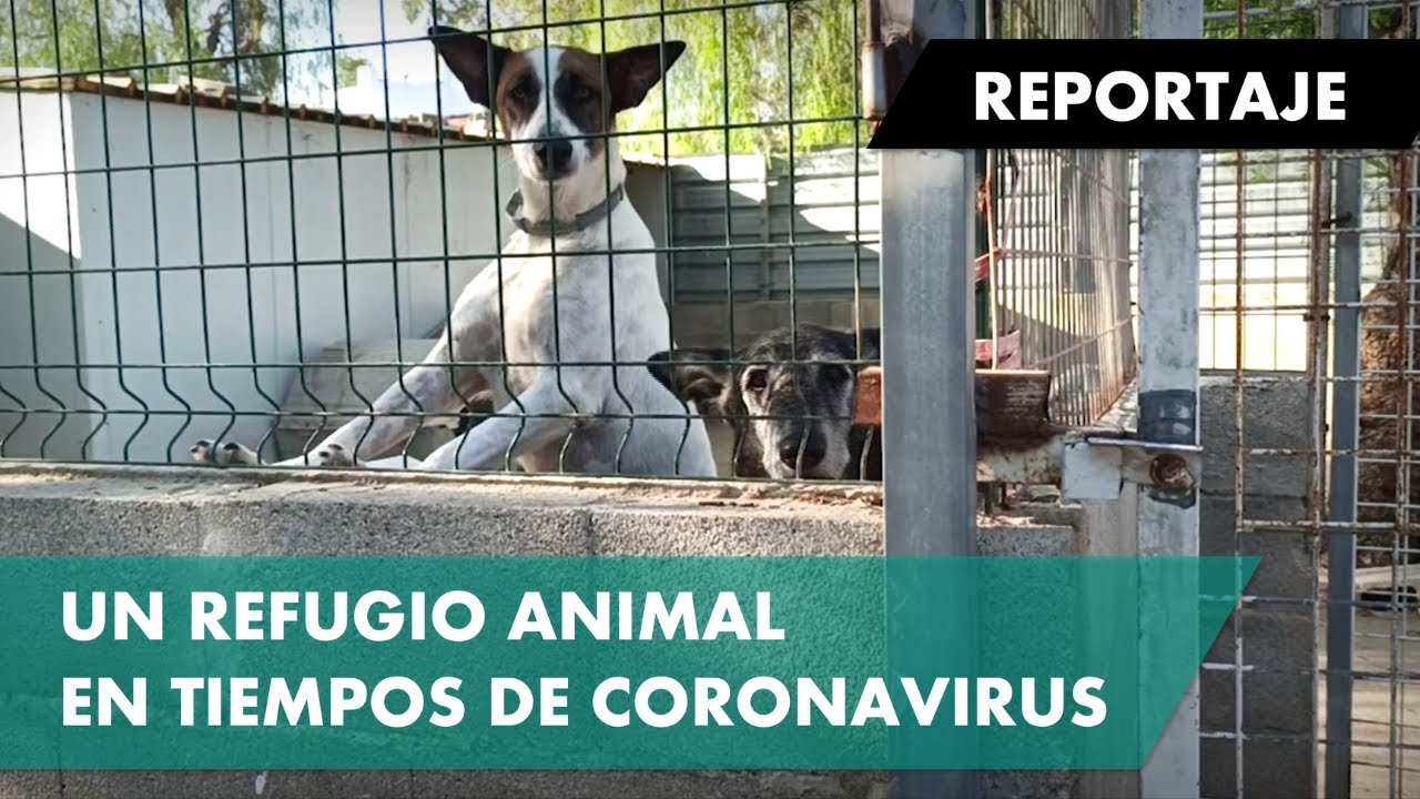 SVPAP, un refugio en tiempos de coronavirus