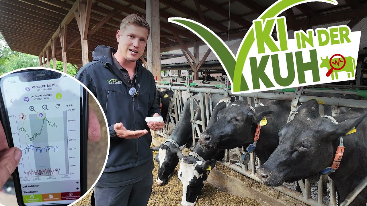 🐄🚀 Unser Herdenmanagement auf ganz neuem Level: Erfahrungen nach 4 Monaten mit smaXtec!!