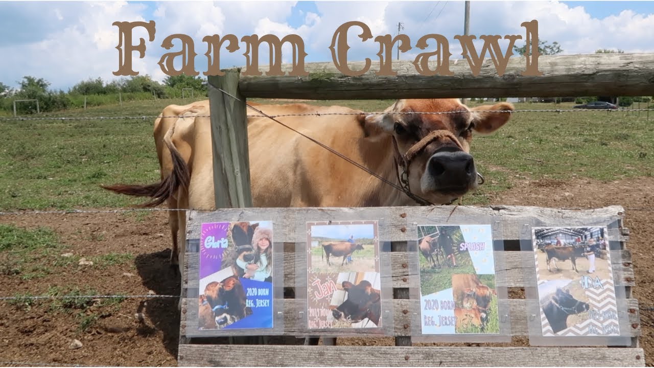 Farm Crawl Ringer Farms