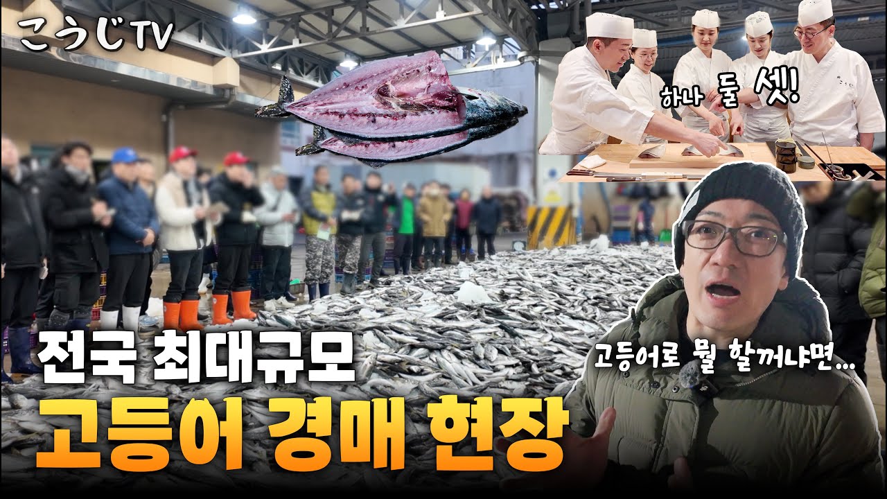 한국인의 최애 생선 고등어가 식탁에 오르기 까지... [뿌리를 찾아서 Ep.9-1]