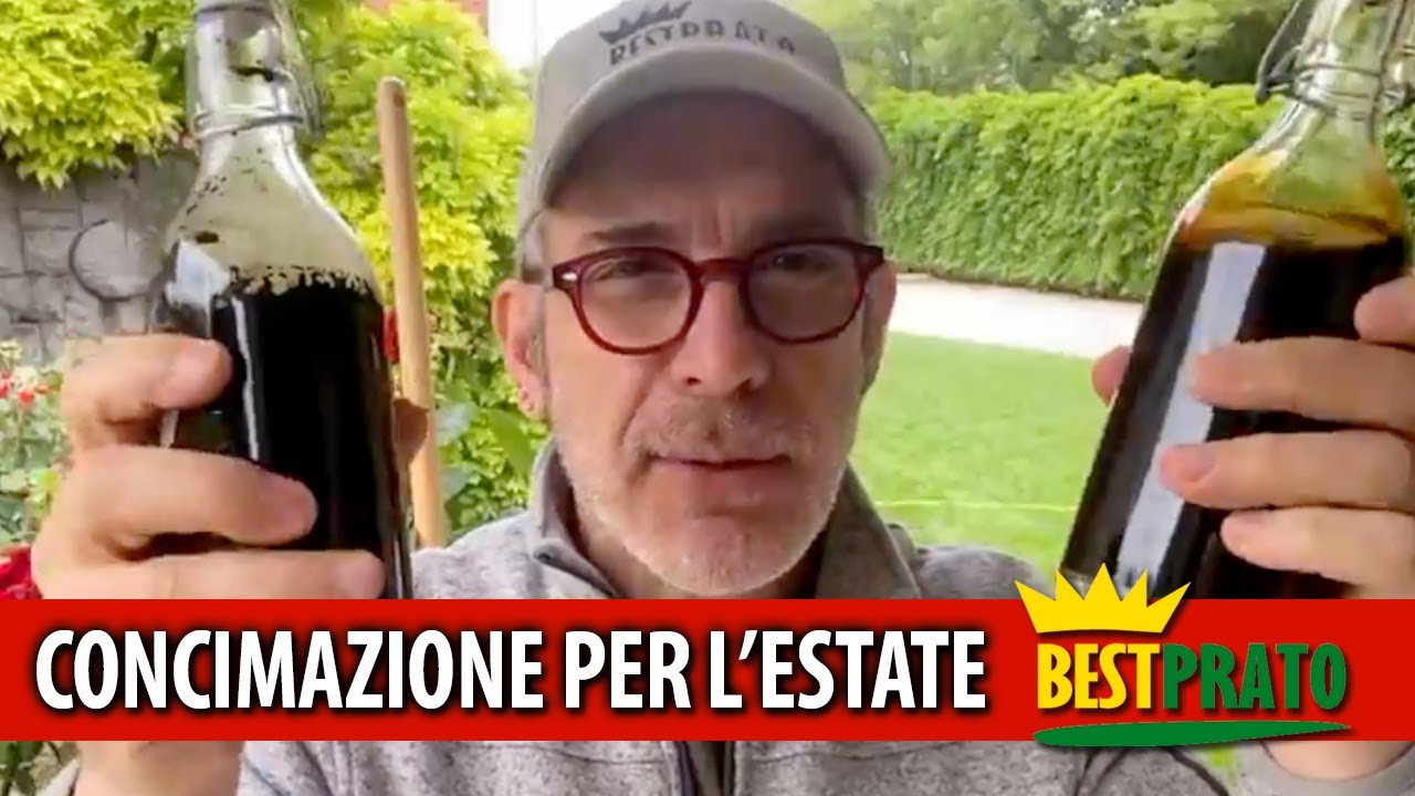 CONCIMARE IL PRATO PER L'ESTATE (3 + 3 CONSIGLI)