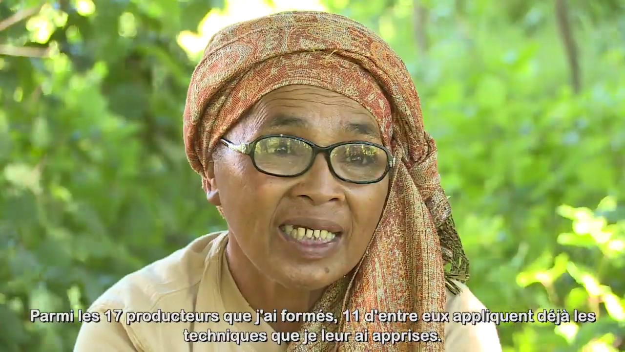 Ma&icirc;tres-Exploitants &agrave; Madagascar (Bande annonce 2019)