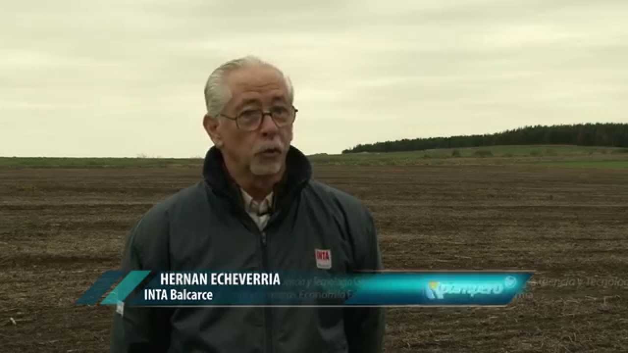 Fertilidad del suelo