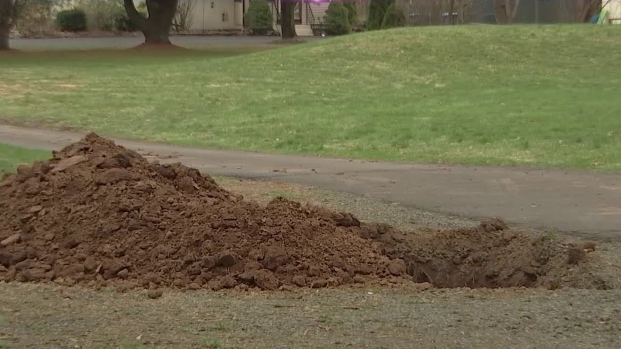 Woman Shoots and Kills Partner, Pays to Have Hole Dug to Bury Him, Police Say