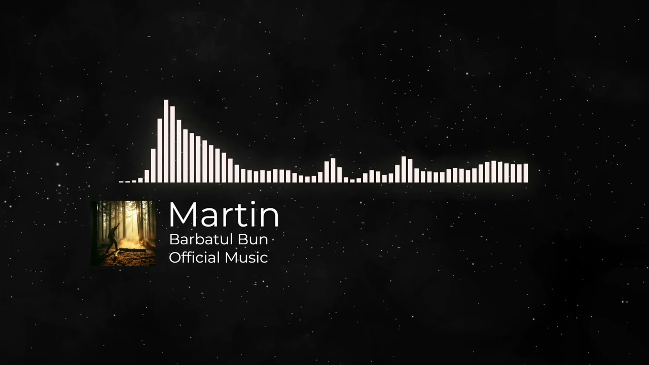 Barbatul Adevarat (Martin | #officialmusic )
