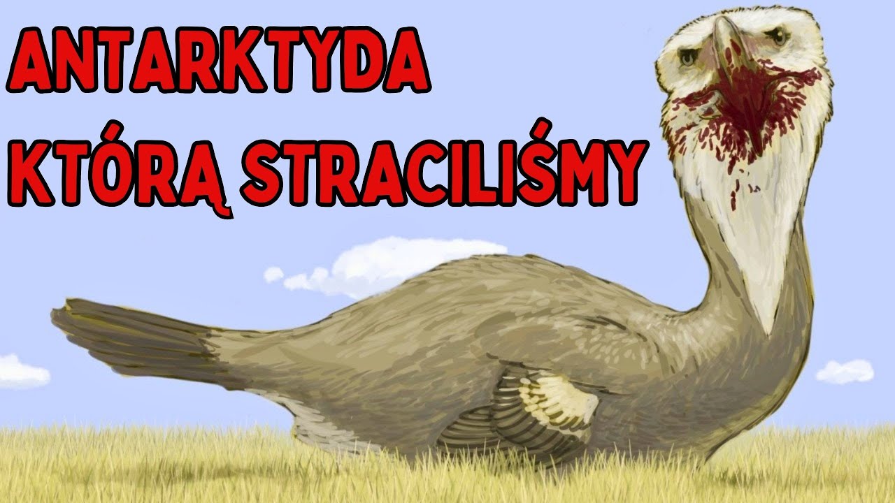 Jak Wyglądała Antarktyda Nim Zamarzła?