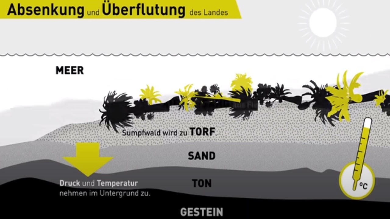 Was sind fossile Brennstoffe und wie entstehen sie?