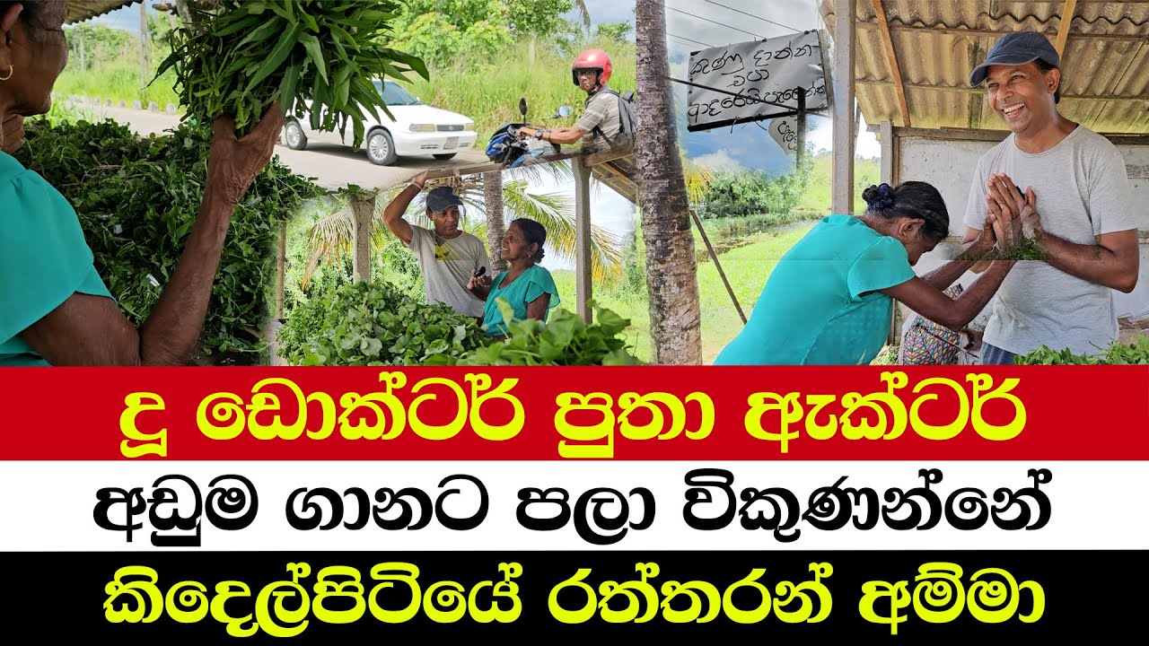 දූ ඩොක්‍ටර් පුතා ඇක්ටර් | අඩුම ගානට පලා විකුණන්නේ | කිදෙල්පිටියේ රත්තරන් අම්මා