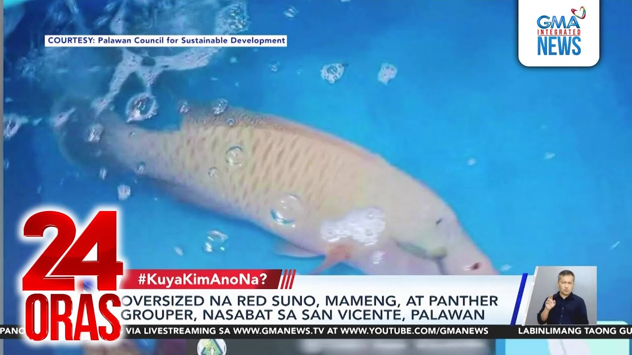 #KuyaKimAnoNa? Express (Feb. 10-14, 2026) - Buhok ng babae... | 24 Oras