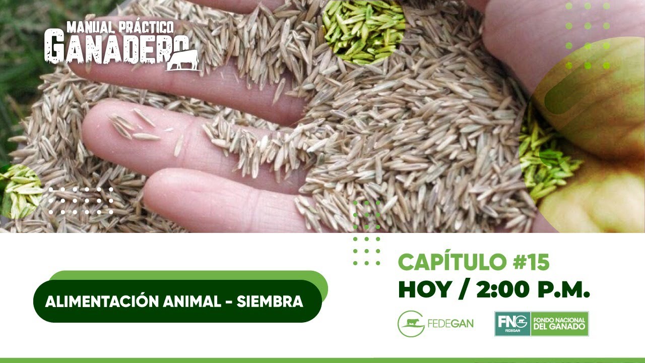 Capitulo 15 - #ManualPracticoGanadero - Alimentación Animal Siembra