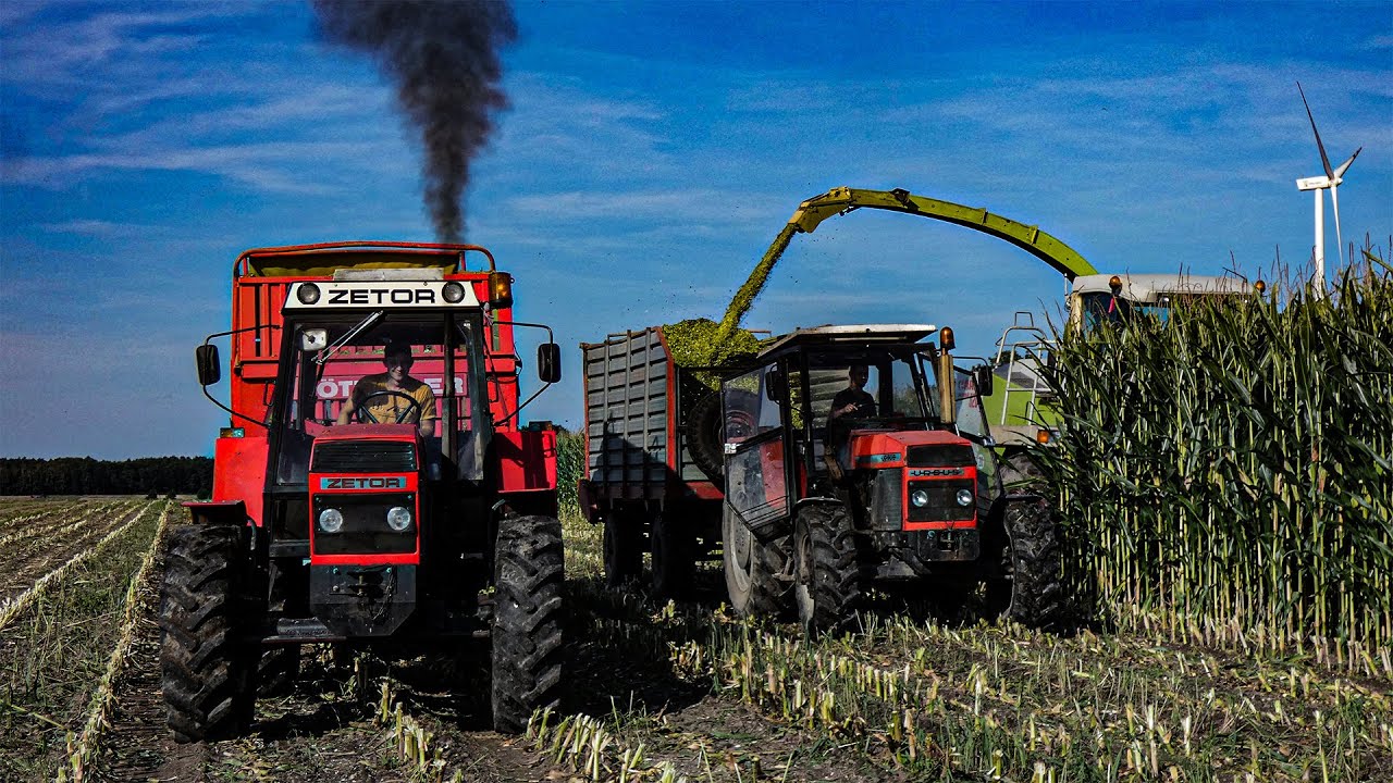 ☆ 🇵🇱Akcja Kiszonka 2021 ☆ Emisja spalin 101% ☆ Claas Jaguar 820 ☆ Zetor|Ursus ☆
