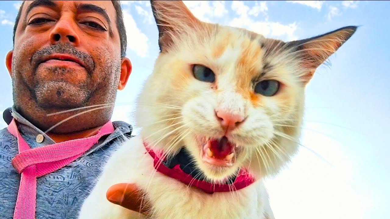 DIANA TEVE UMA RECAÍDA... PENSEI QUE TINHA PASSADO DESSA FASE
