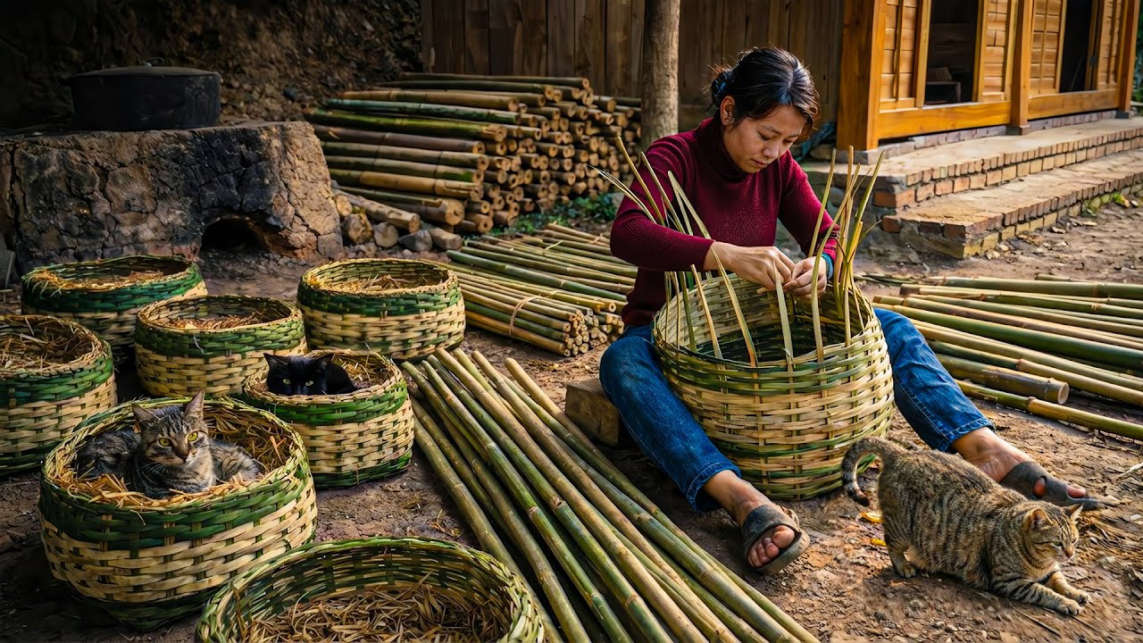 A Day in Forest Life: Building a Bamboo Bed for Stray Cats and Harvesting Sugarcane