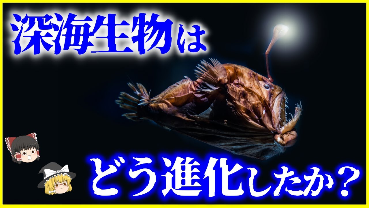 【ゆっくり解説】なぜ深海に棲める？「深海生物」はどのように進化したかを解説/深海生物が巨大化した理由