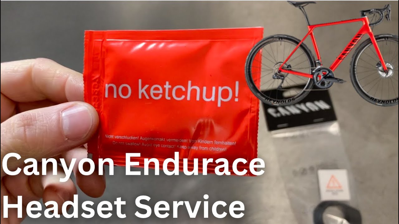 Canyon Endurace Headset Service
