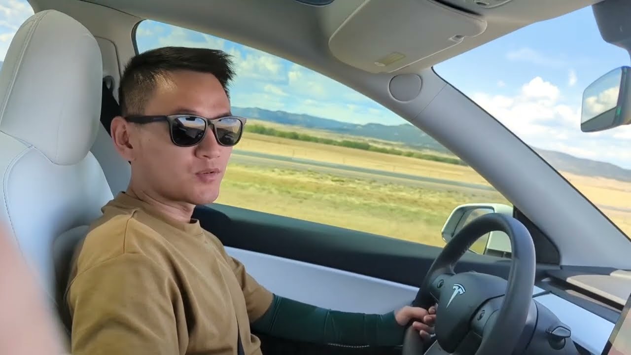 Tesla model y highway phantom brake issue temporary fix