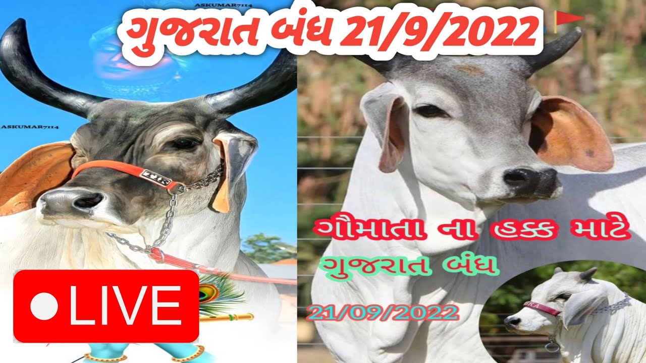 ડિસા રેલી ગુજરાત બંધ 21/9/2022 લાઇવ
