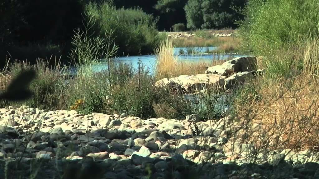 El Ejemplo Del Órbigo   Restauración de Ríos y Prevención de Inundaciones 25 59