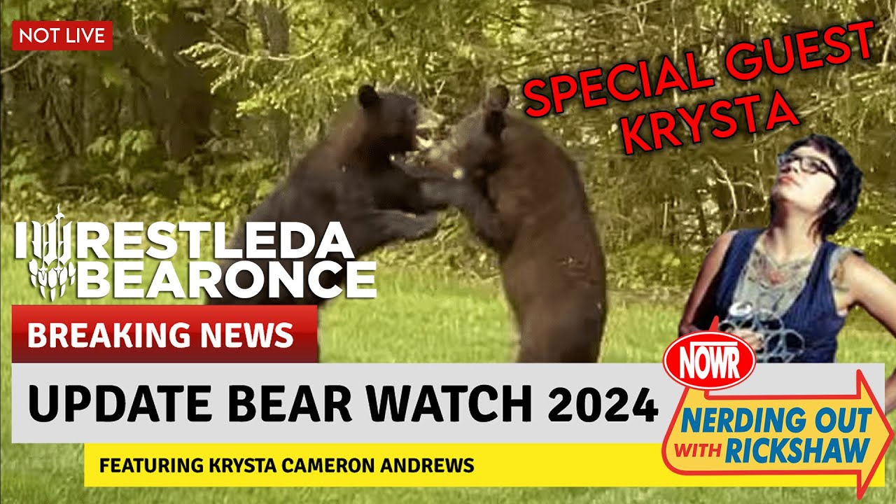 IWRESTLEDABEARONCE BEAR WATCH UPDATE (Featuring Krysta) #reuniteiwabo