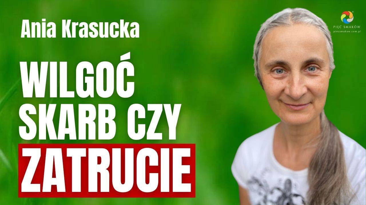 WILGOĆ - SKARB CZY ZATRUCIE?