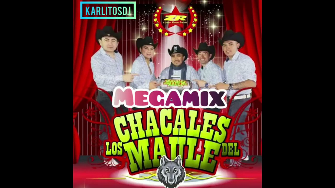 Dj aleemix Bustamante Los Chacales Del maule mix 2021