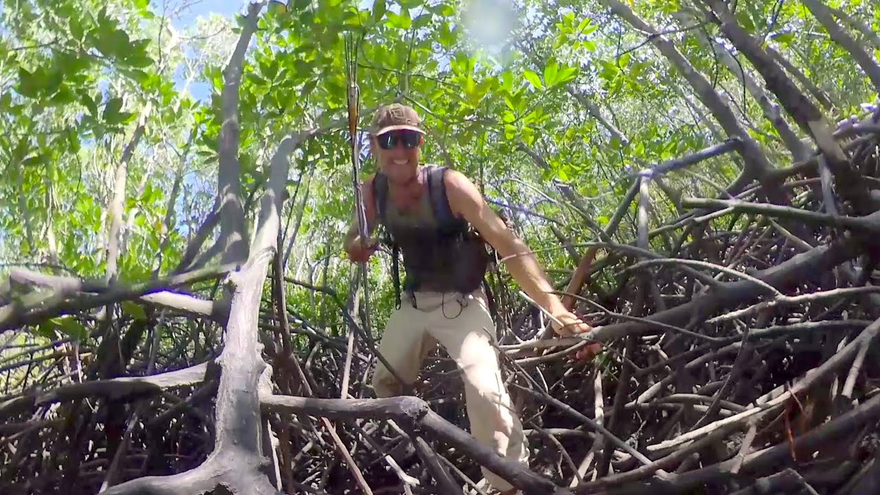 Can I survive in a Mangrove Forest EP.468