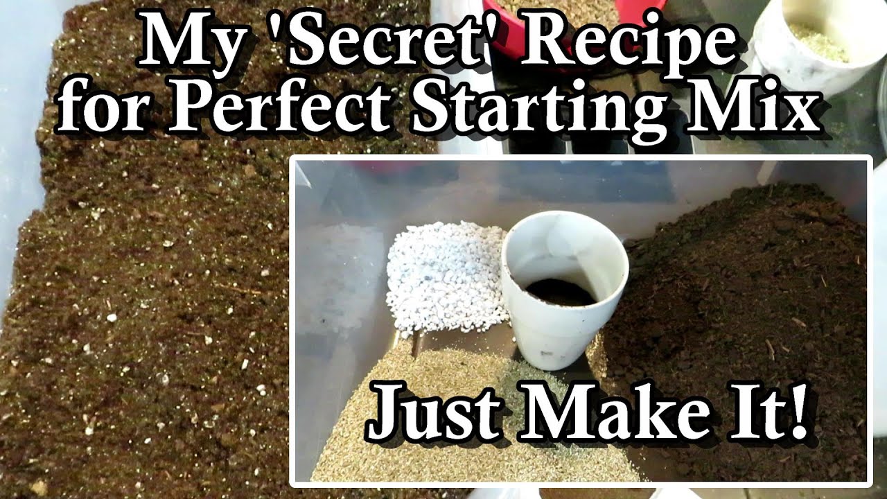 6 Tips for Making a Professional Seed Starting/Potting Mix (Full Recipe & All the Steps)
