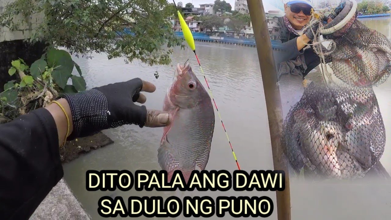  NASA DULO PALA NG PUNO BIGLANG DAWI LALAPAD PA MAY PINK PA LAPAD DIN