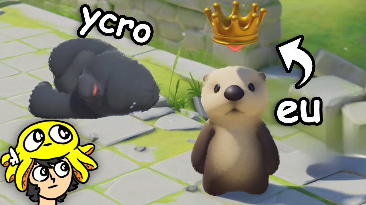 animais fofinhos saindo na mão