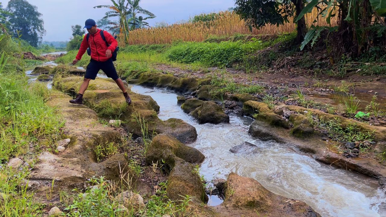 Solo Hiking Through Cornfields to a Peaceful River