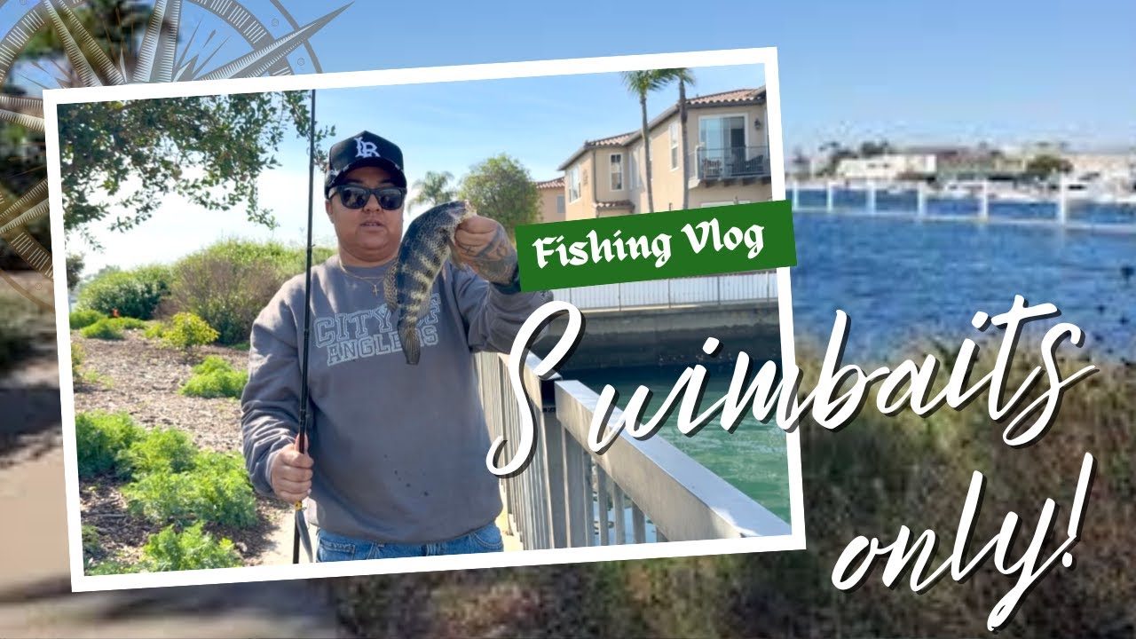 How to catch spotted bay bass using swim baits!