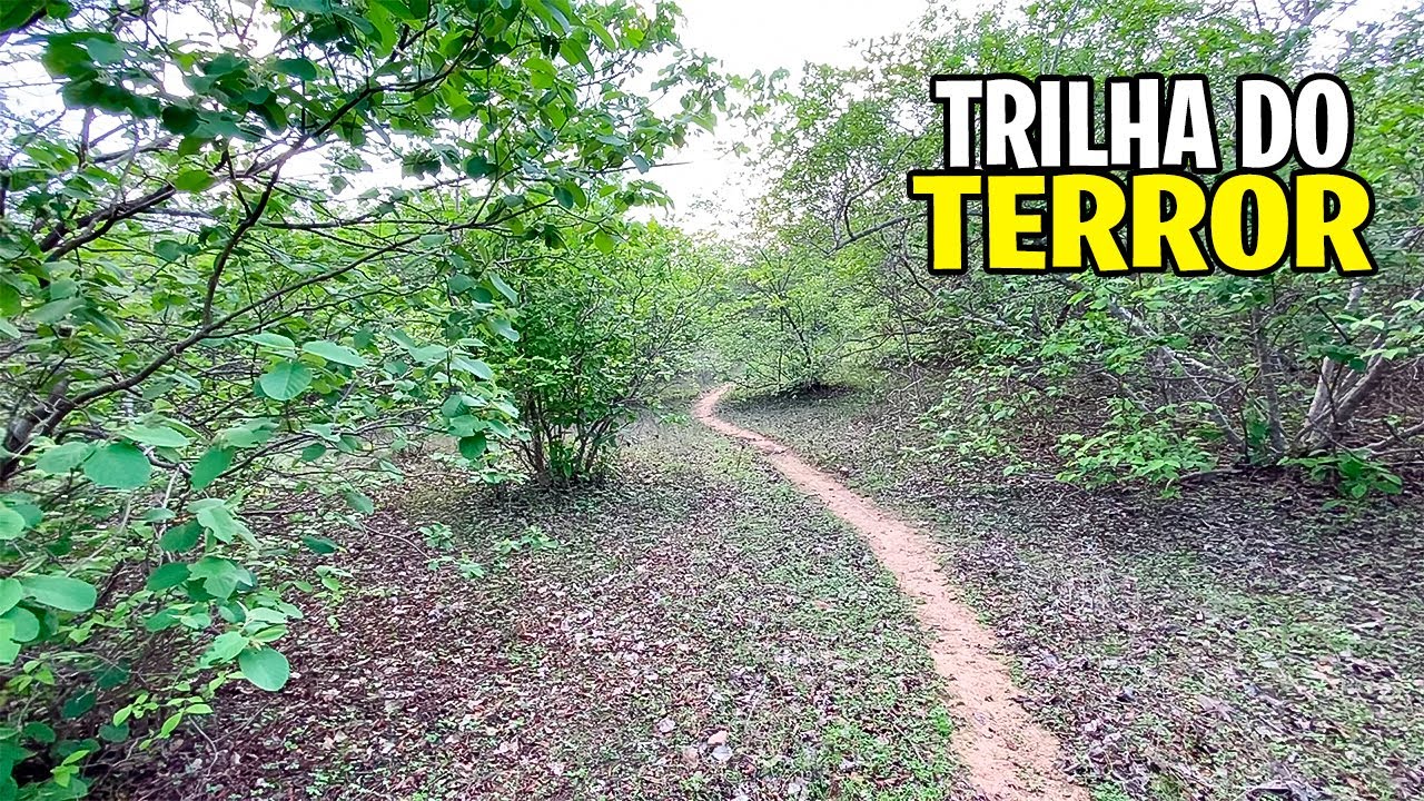 Fui sozinho na trilha mais ASSOMBRADA do Sert&atilde;o, Mist&eacute;rios e Lendas Sinistras!