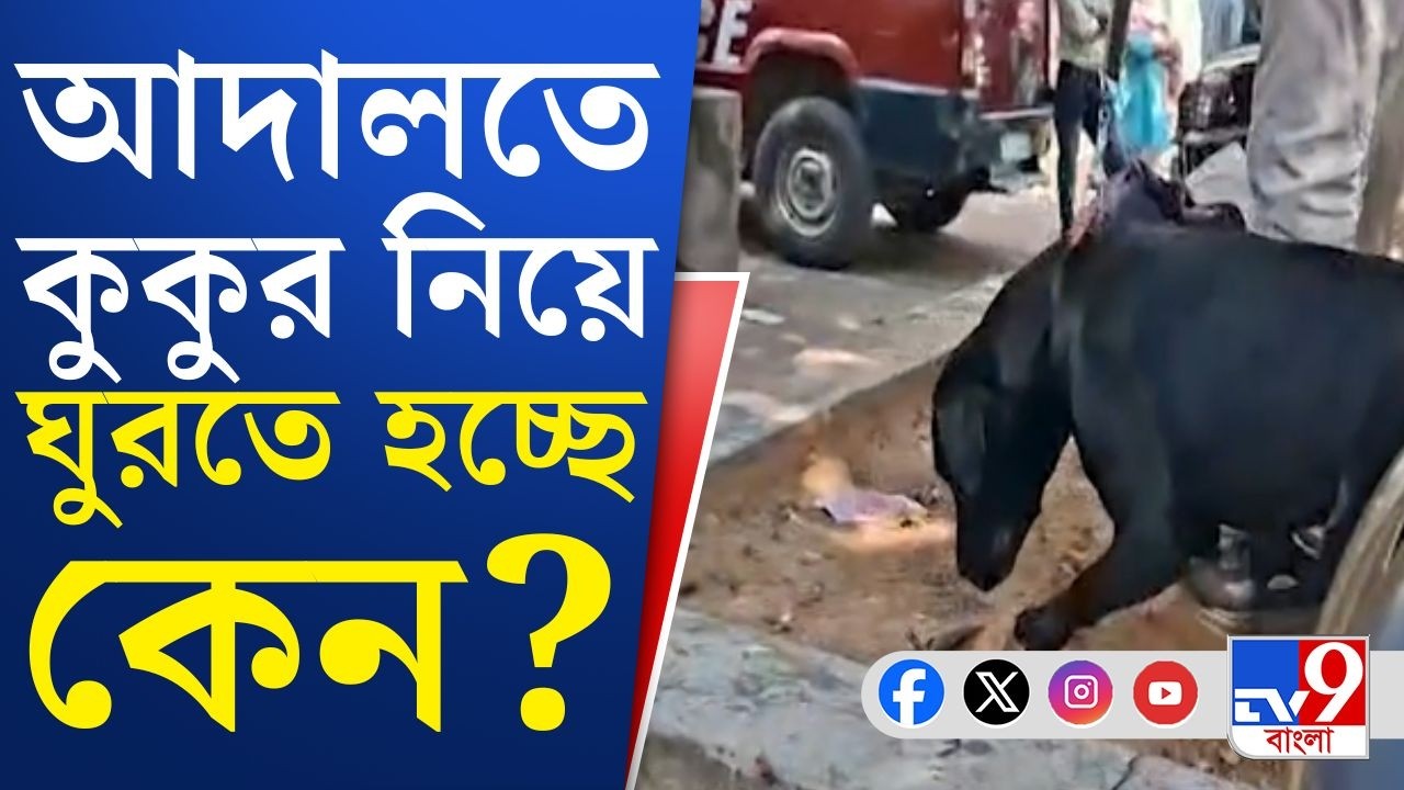 Asansol Court, Bomb Squad: পরপর ২ দিন বোমাতঙ্ক, ষড়যন্ত্রের নেপথ্যে কারা? | TV9 Bangla