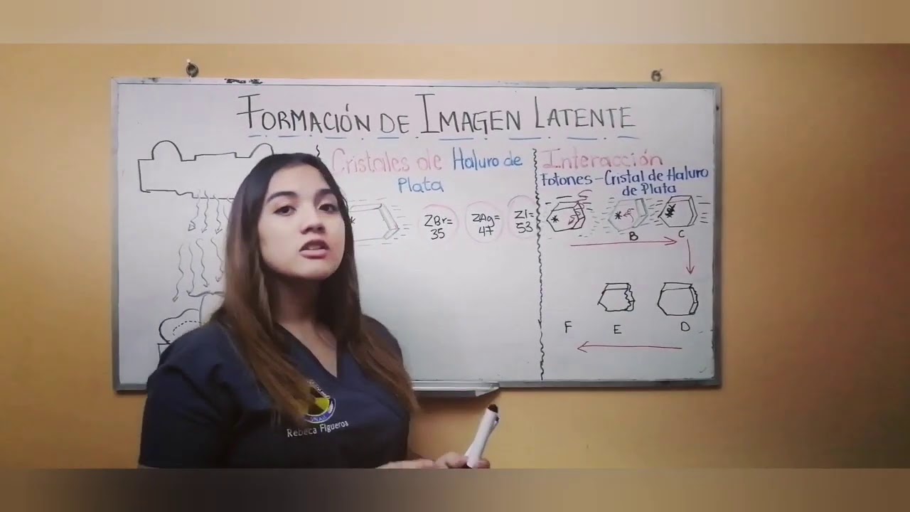 Formación de la Imagen Latente