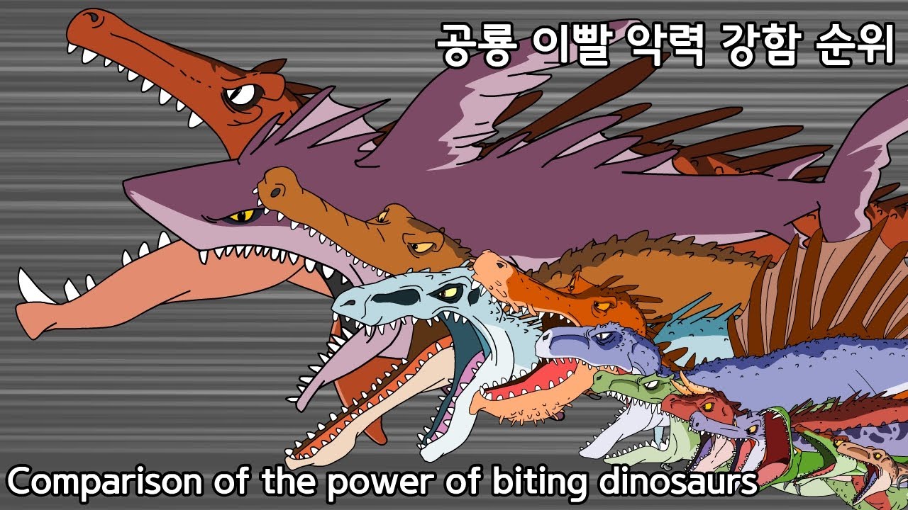 comparison of the power of biting dinosaurs 공룡의 악력 비교 #animation #공룡 #anime #dinosaurs #comparison