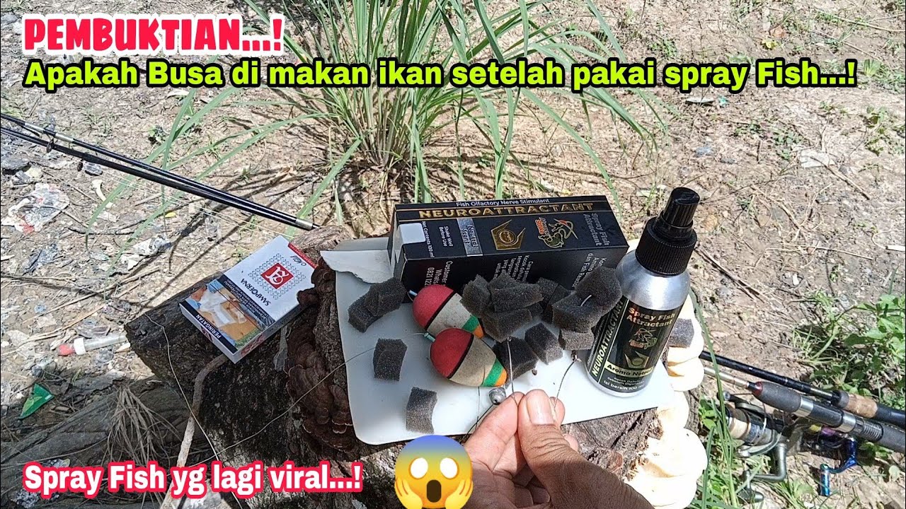 CAIRAN JAHAT..! APA YG TERJADI SETELAH BUSA DI SEMPROT PAKAI CAIRAN SPRAY FISH / ALWAY STRIKE