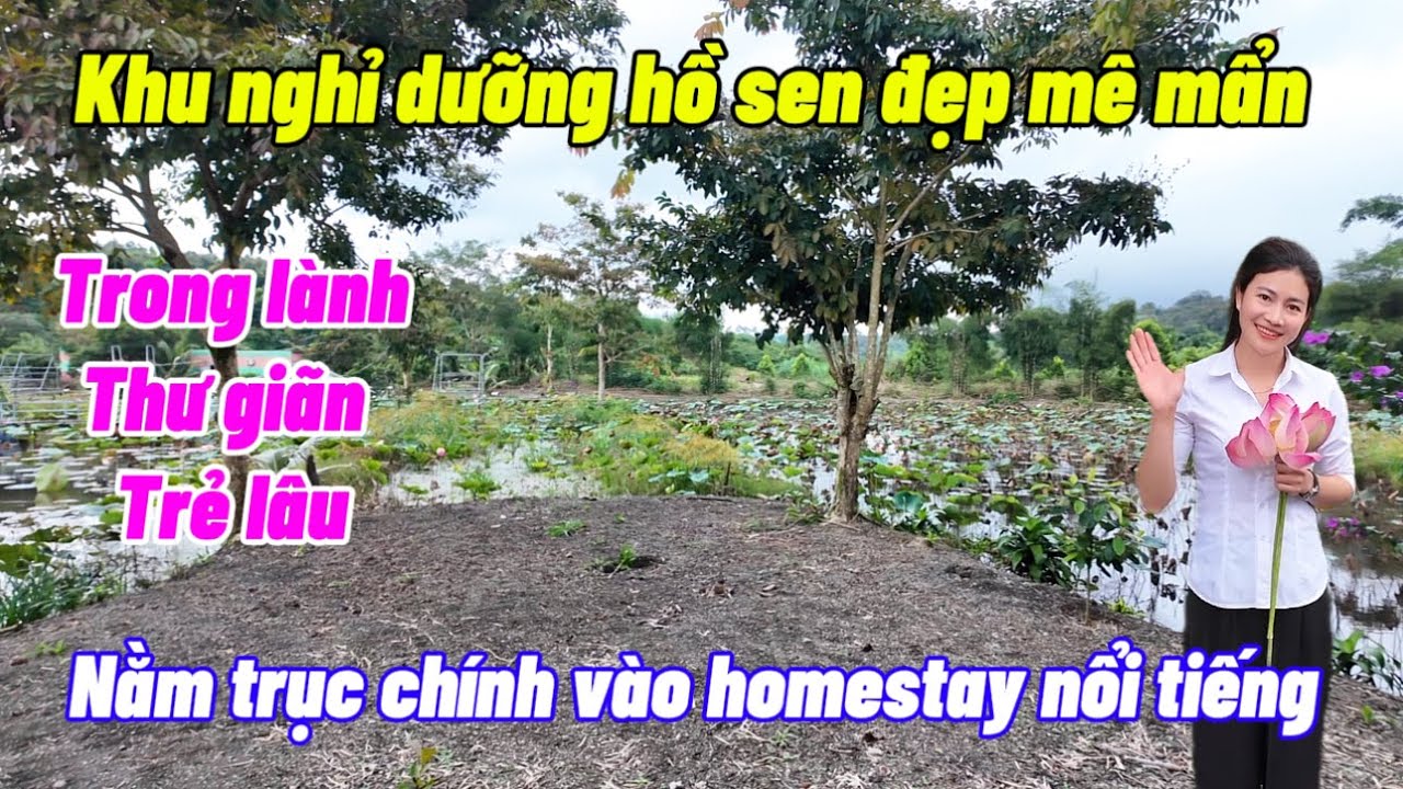 Chú lớn tuổi không làm được nên cần nhượng lại khu nghỉ dưỡng gần trung tâm Gia Nghĩa .đường nhựa 