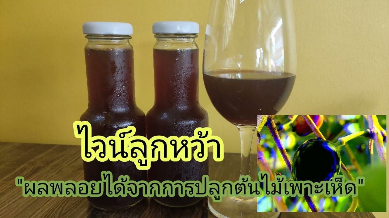 EP.82  ทำอย่างไร? ไวน์ลูกหว้าถึงจะอร่อย