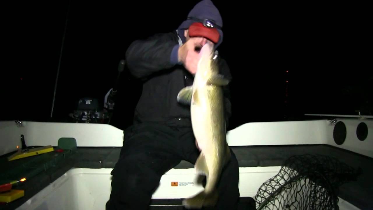 Trophy Walleyes..After Dark!