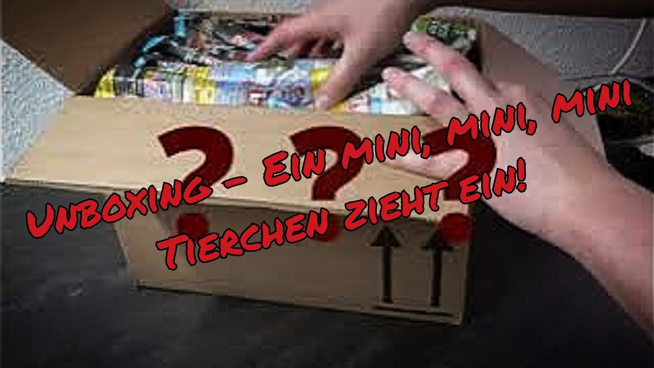 Unboxing - Ein mini,mini,mini Tierchen zieht ein