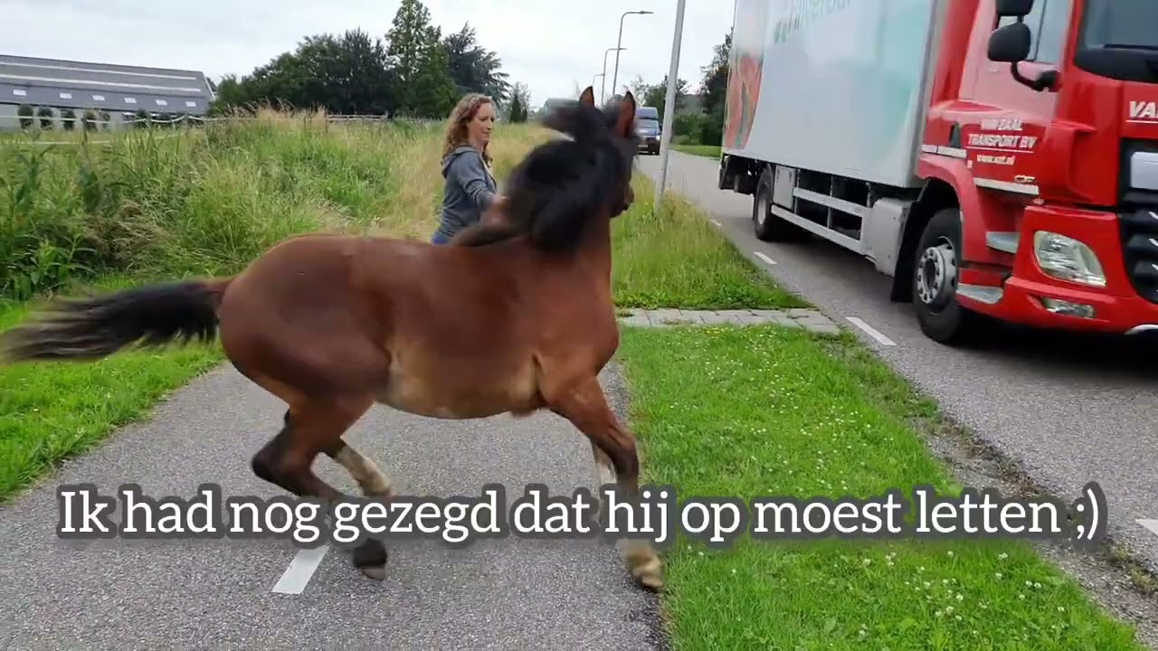 29-06-2021 - Stip al weer 2 maanden bij ons!