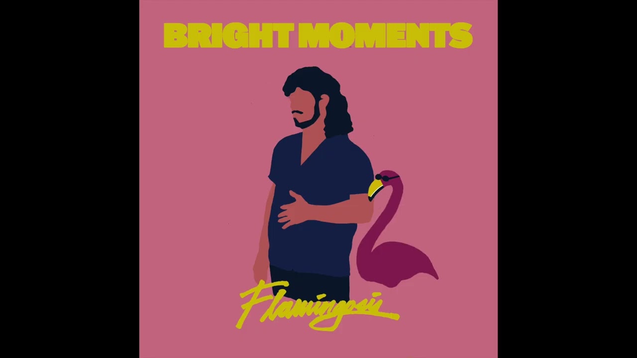 Flamingosis - Bright Moments (10 year anniversary full album)