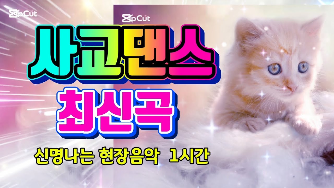 사교댄스 최신곡  - 신명나는 현장음악 1시간 🐱 #지루박 #사교댄스 #콜라텍 #트로트 #지루박메들리 