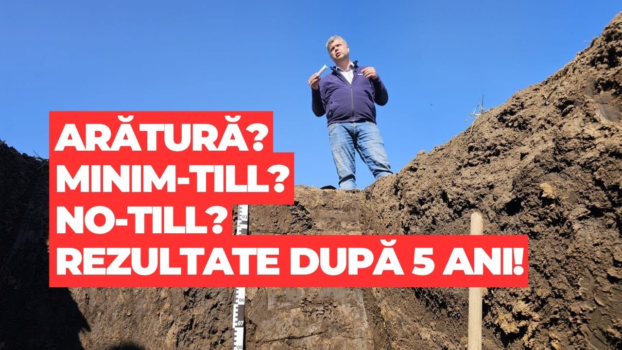 Arătură, minimum-till sau no-till? Rezultate pe 5 ani în ferma lui Bekes Arnold